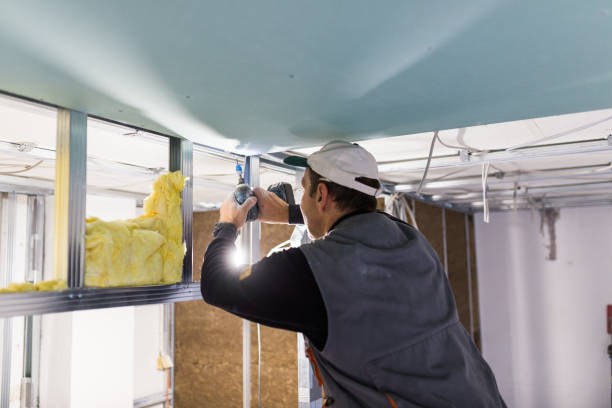 Best Insulation Maintenance and Repair in Riverside, IL