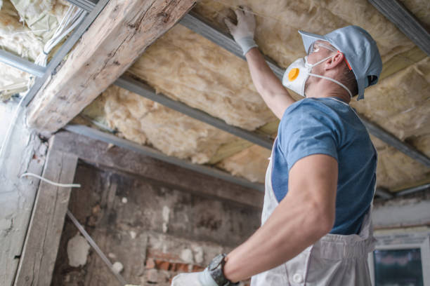 Best Eco-Friendly Insulation in Riverside, IL