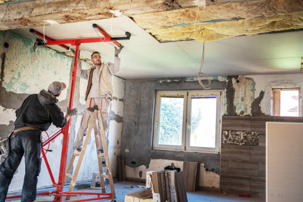 Best Cellulose Insulation in Riverside, IL