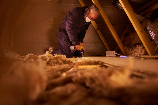 Best Geographic-Specific Insulation Services in Riverside, IL